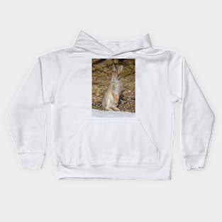 Eastern Cottontail rabbit standing Kids Hoodie